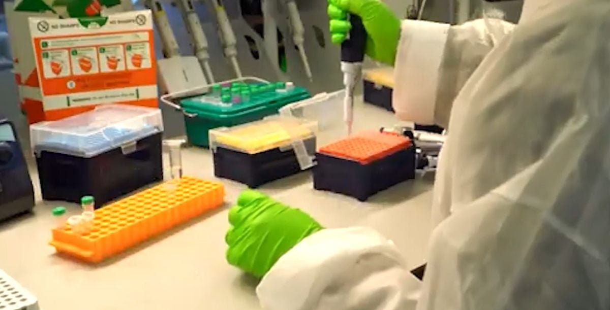 A drop of blood, instant answers: Portable diagnostic tools delivering real-time disease detection